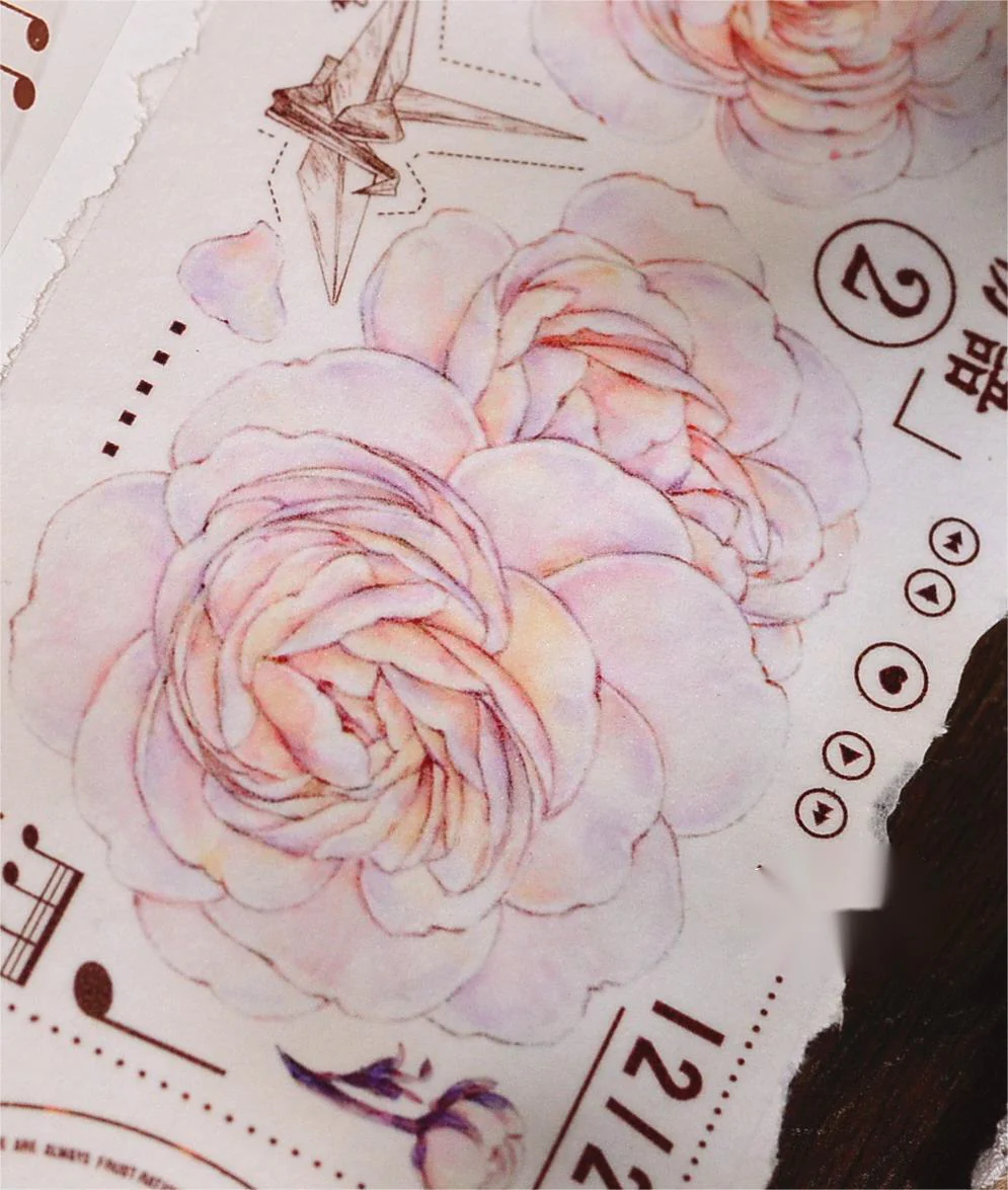 Moon White Tape-TAHARA - Image 10