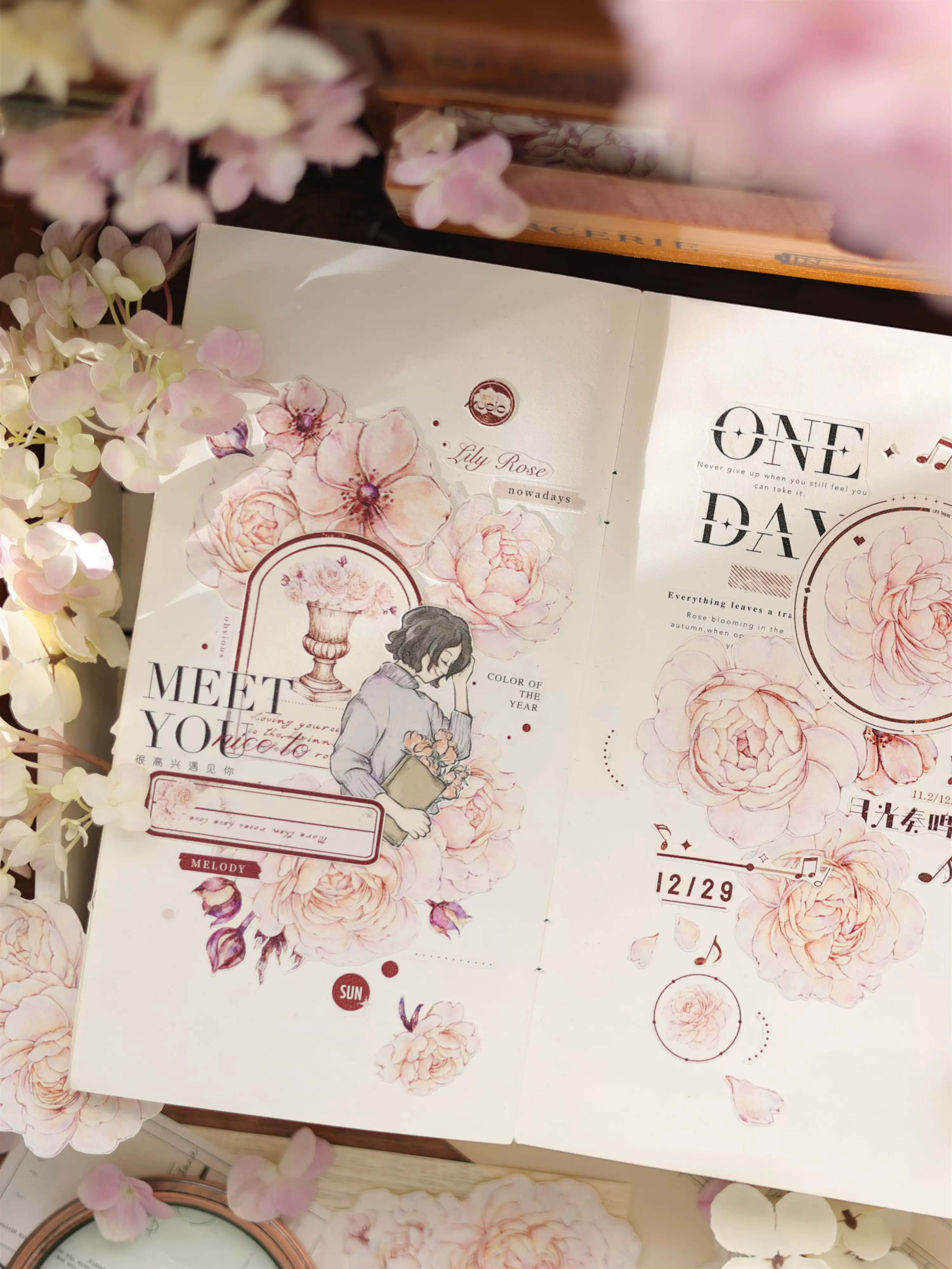 Moon White Tape-TAHARA - Image 4