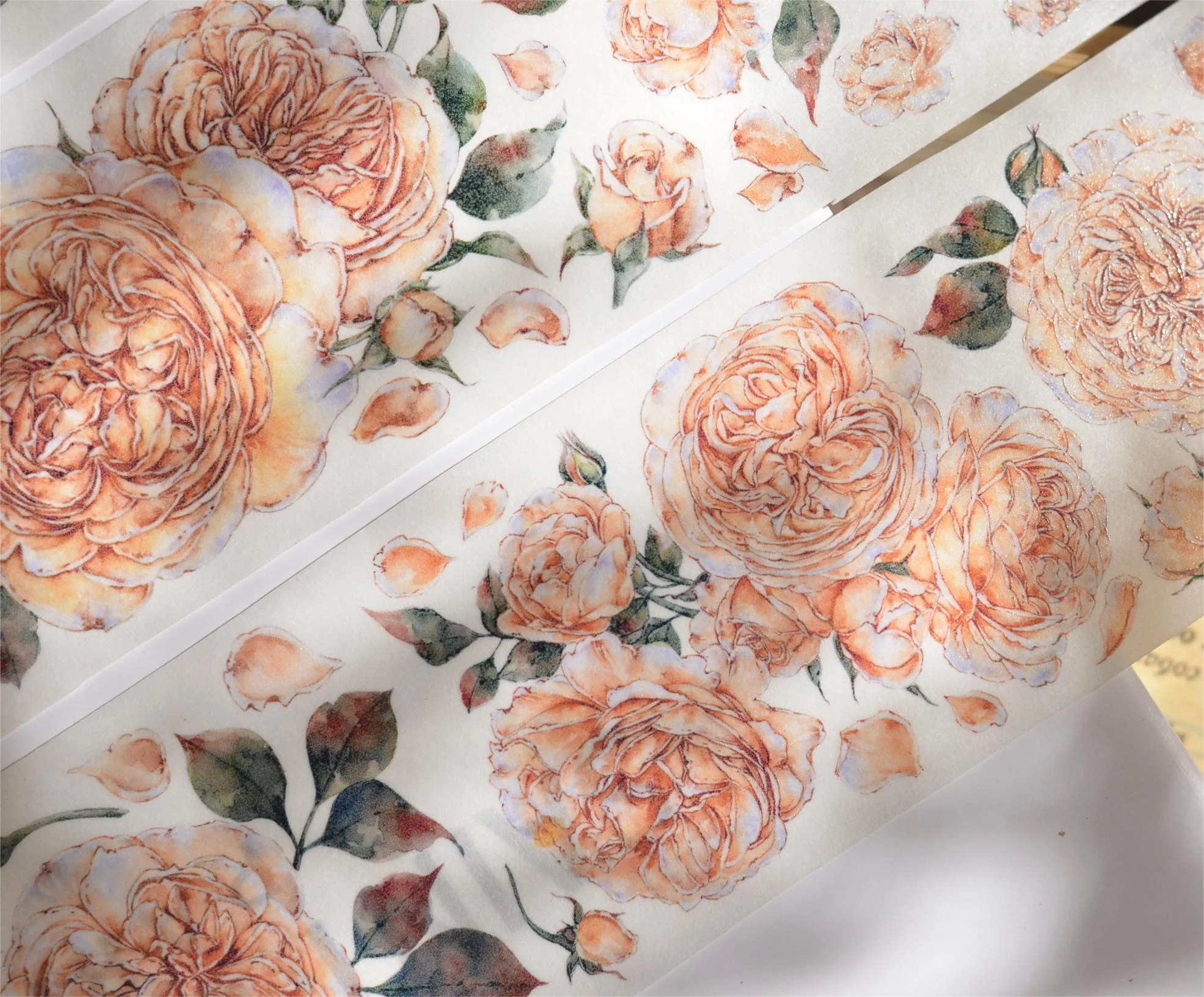 Shallow Summer Tape-TAHARA - Image 10