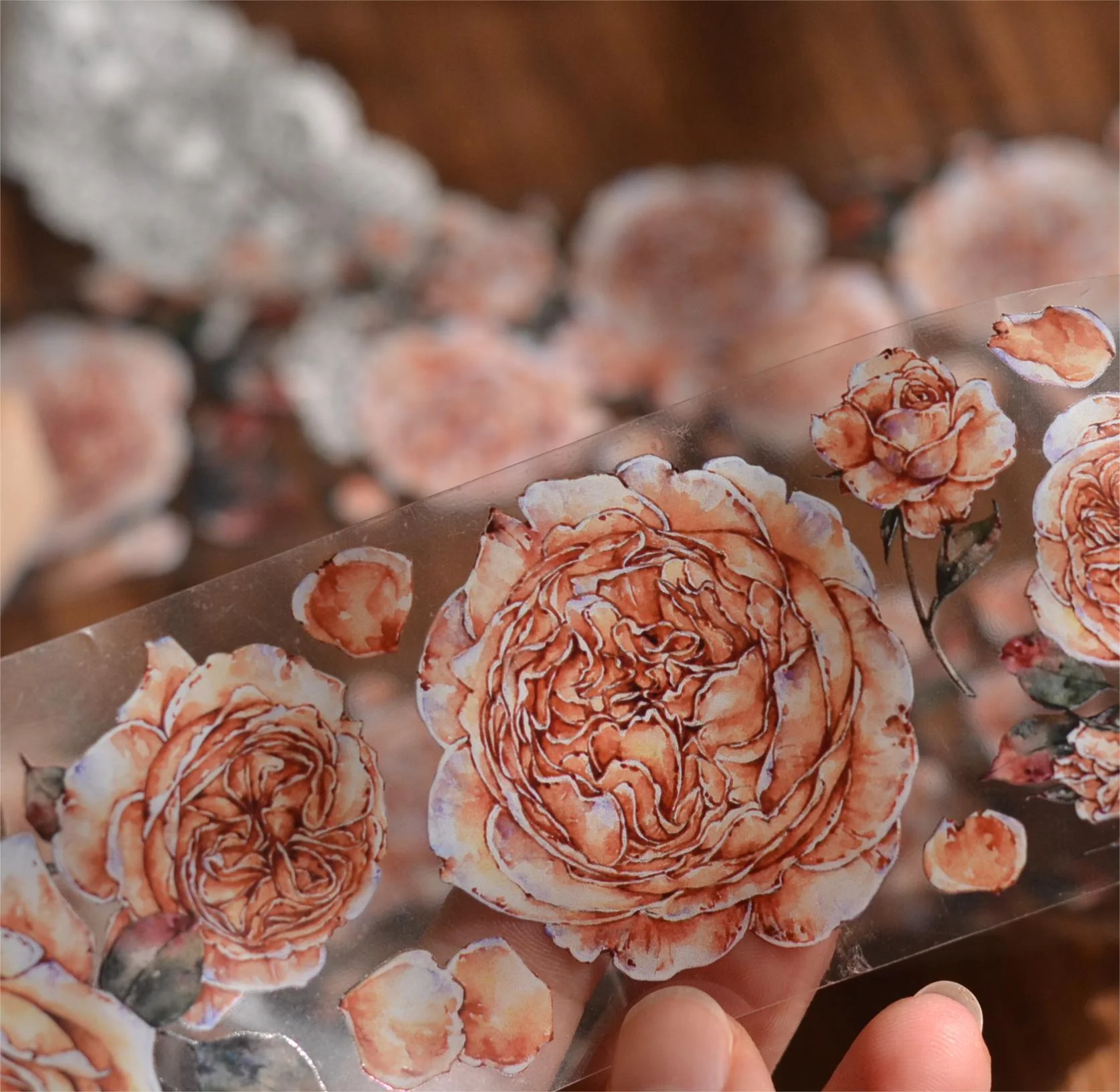 Shallow Summer Tape-TAHARA - Image 4