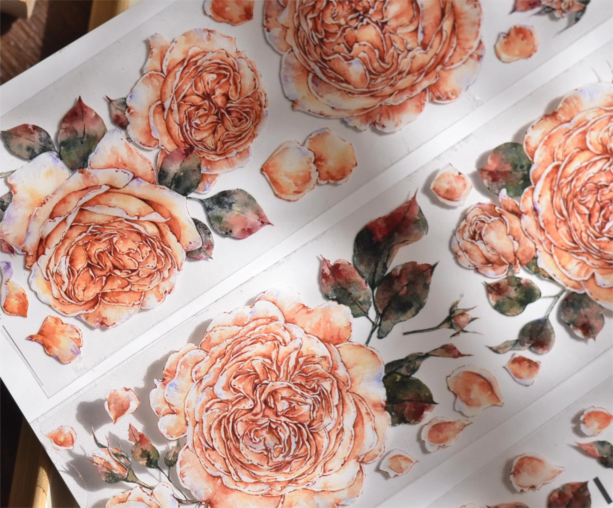 Shallow Summer Tape-TAHARA - Image 5