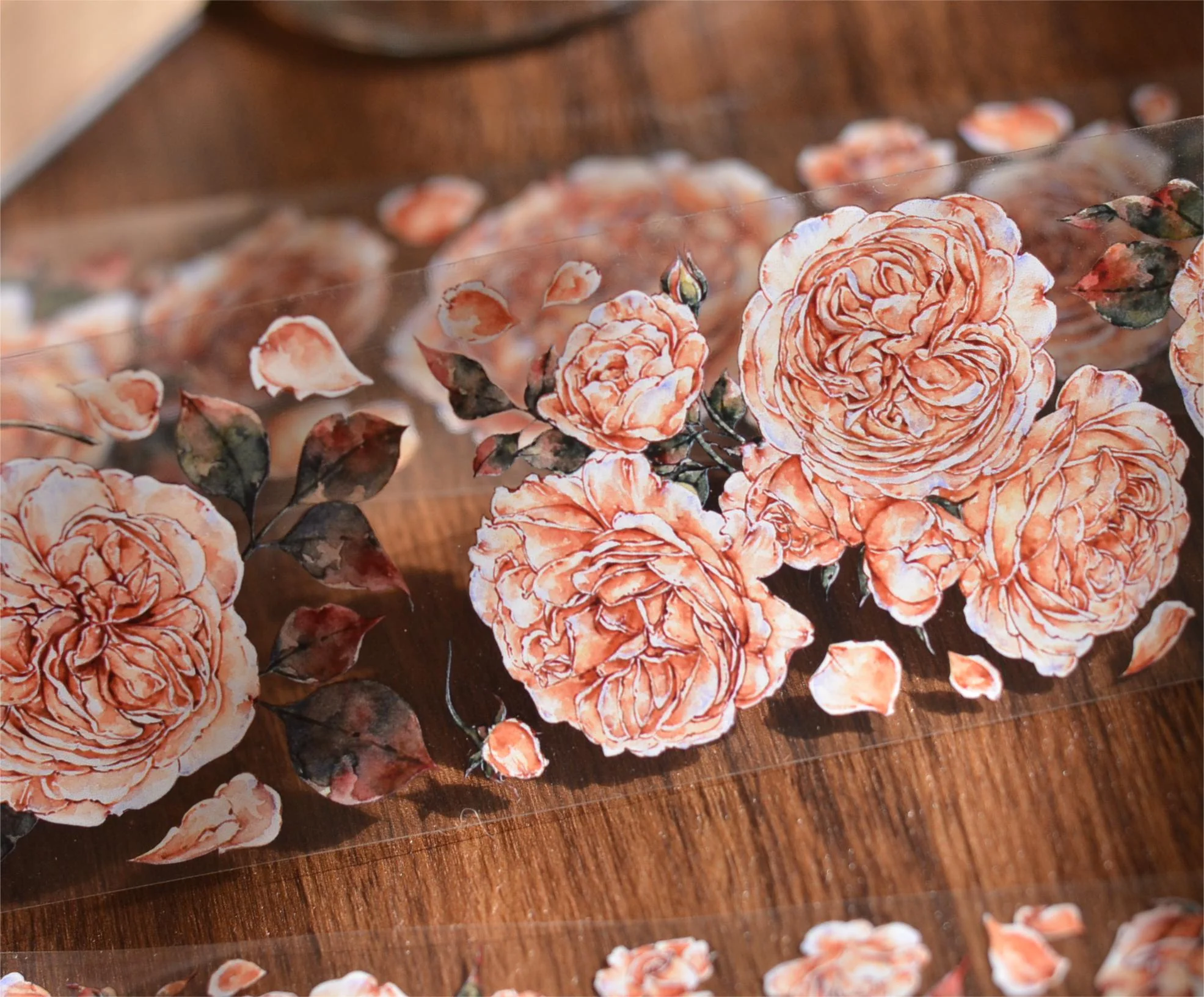 Shallow Summer Tape-TAHARA - Image 6