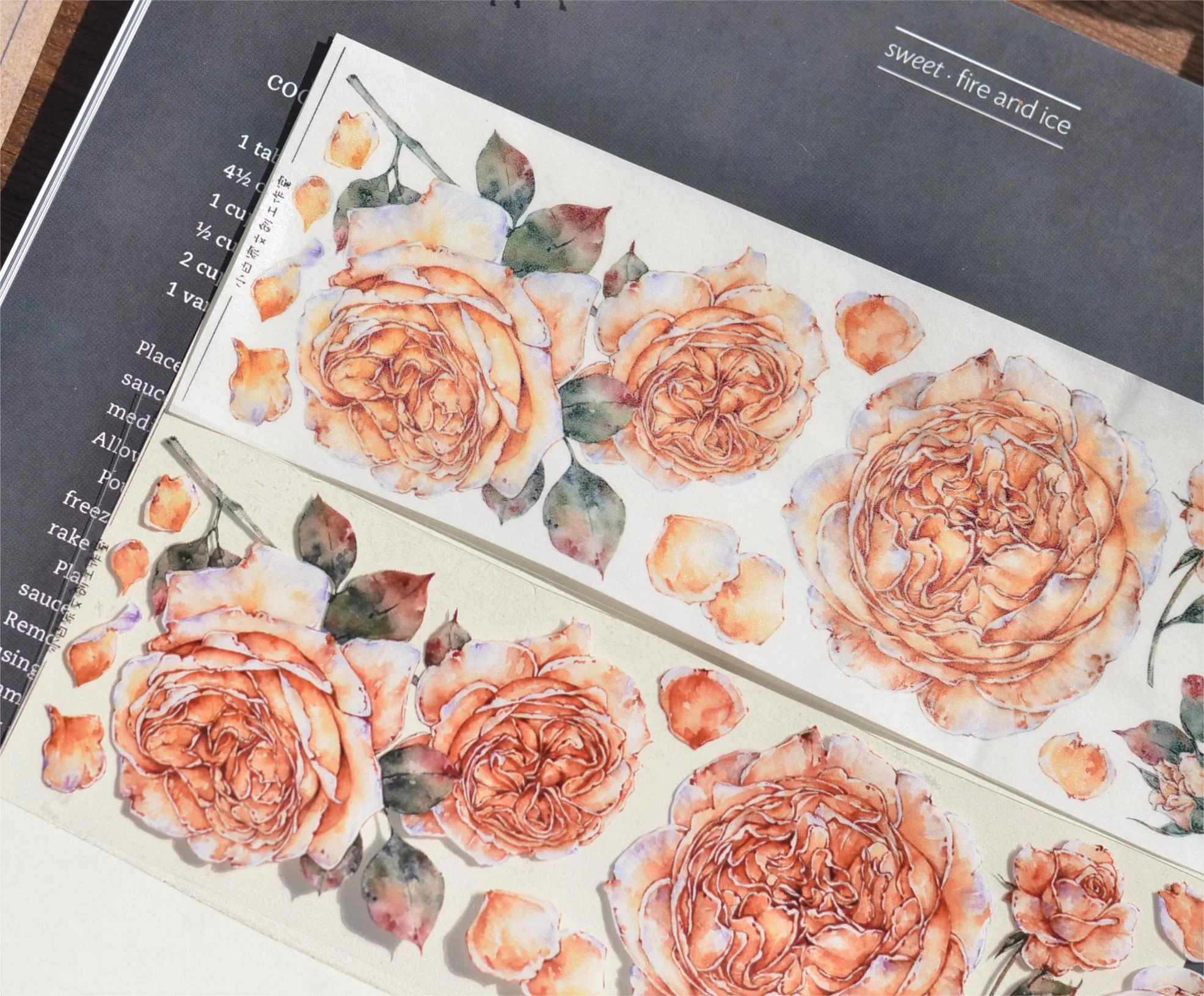 Shallow Summer Tape-TAHARA - Image 7